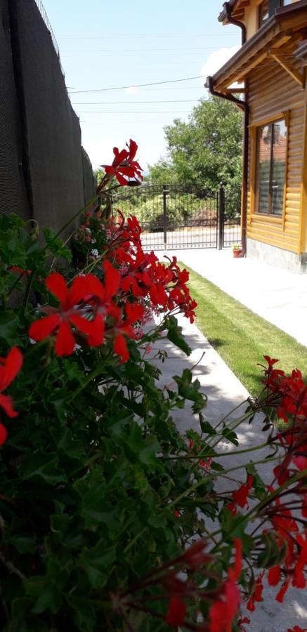 Guest House Ideal Sapareva Banya Exterior photo